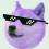 SWAG purple-Dog