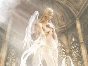 angel101