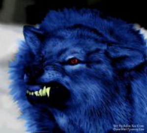 bluedog