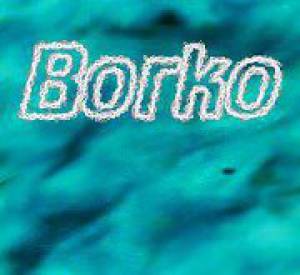 Borko9999