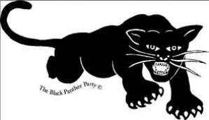 Crni Panter