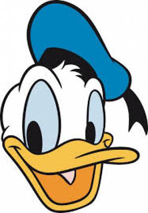 donald the duck