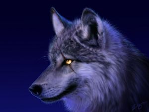 Wolfstronghold2