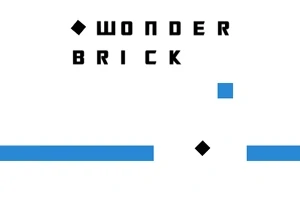 Wonder Brick